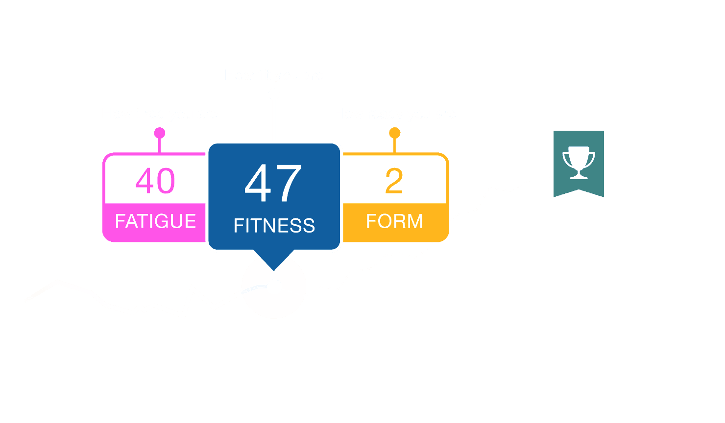 Create Your Free Trainingpeaks Account