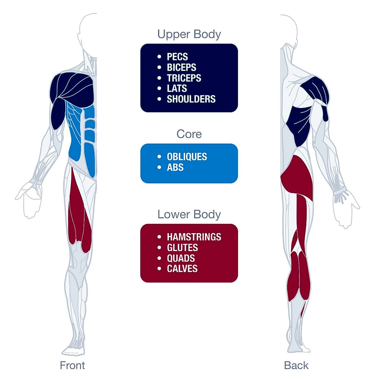 Strength Guide Training Example