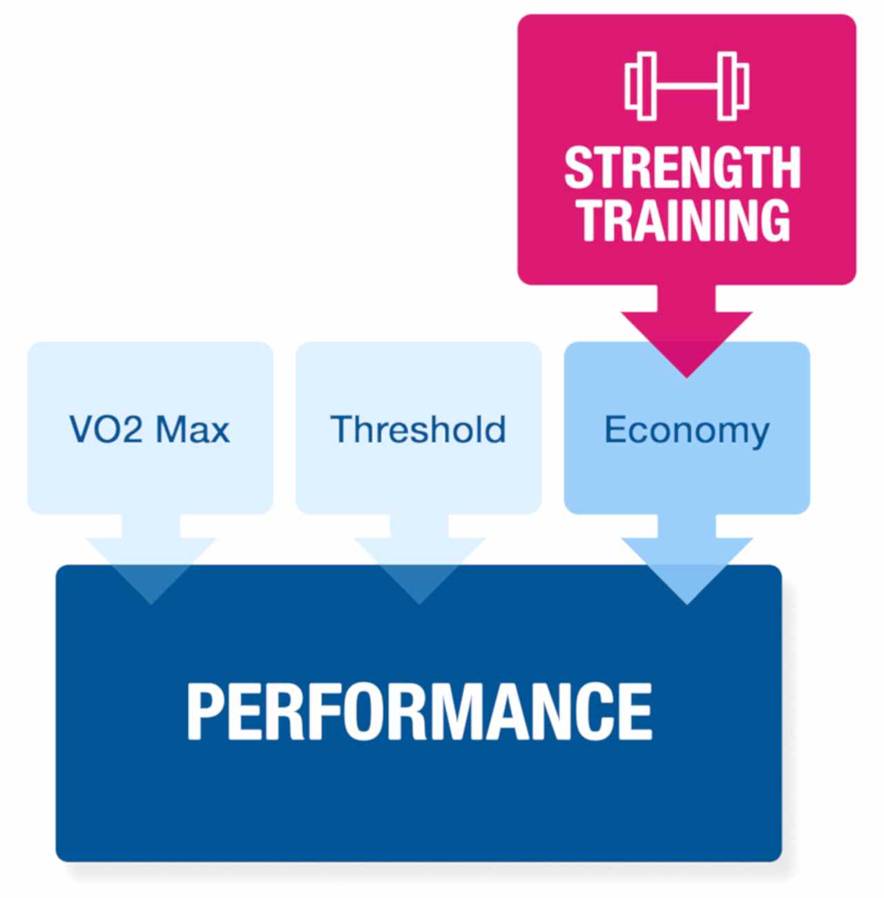 Strength And Economy Equals Performance For Strength Training