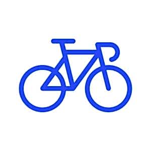 Bike 300 Chip Pb Bike 300 Chip Pb