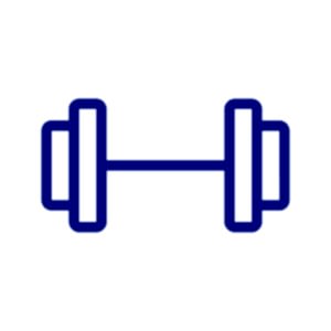 Strength 300 Chip Pb Strength 300 Chip Pb